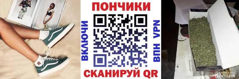 Бошки марихуана план  купить наркотики сайты  Нурлат 